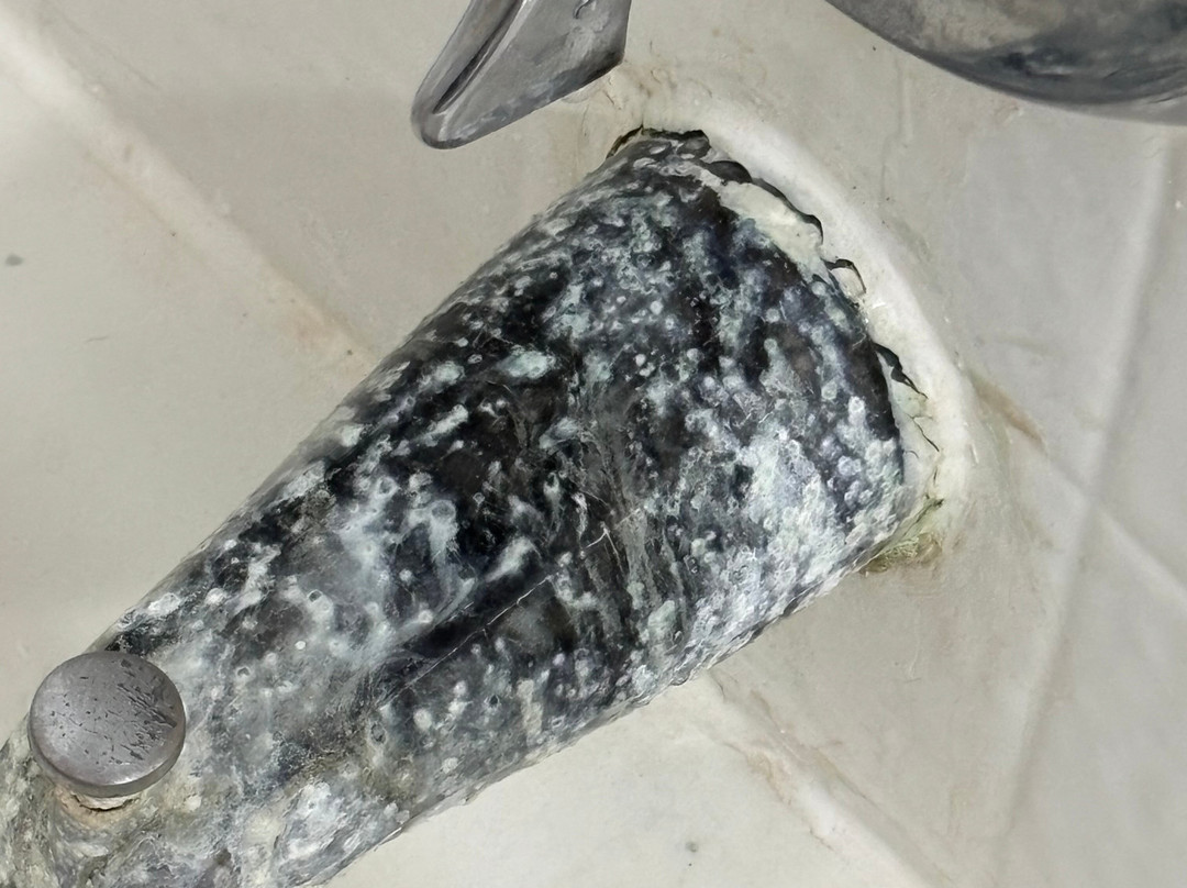 Best Western Richmond Hotel主图