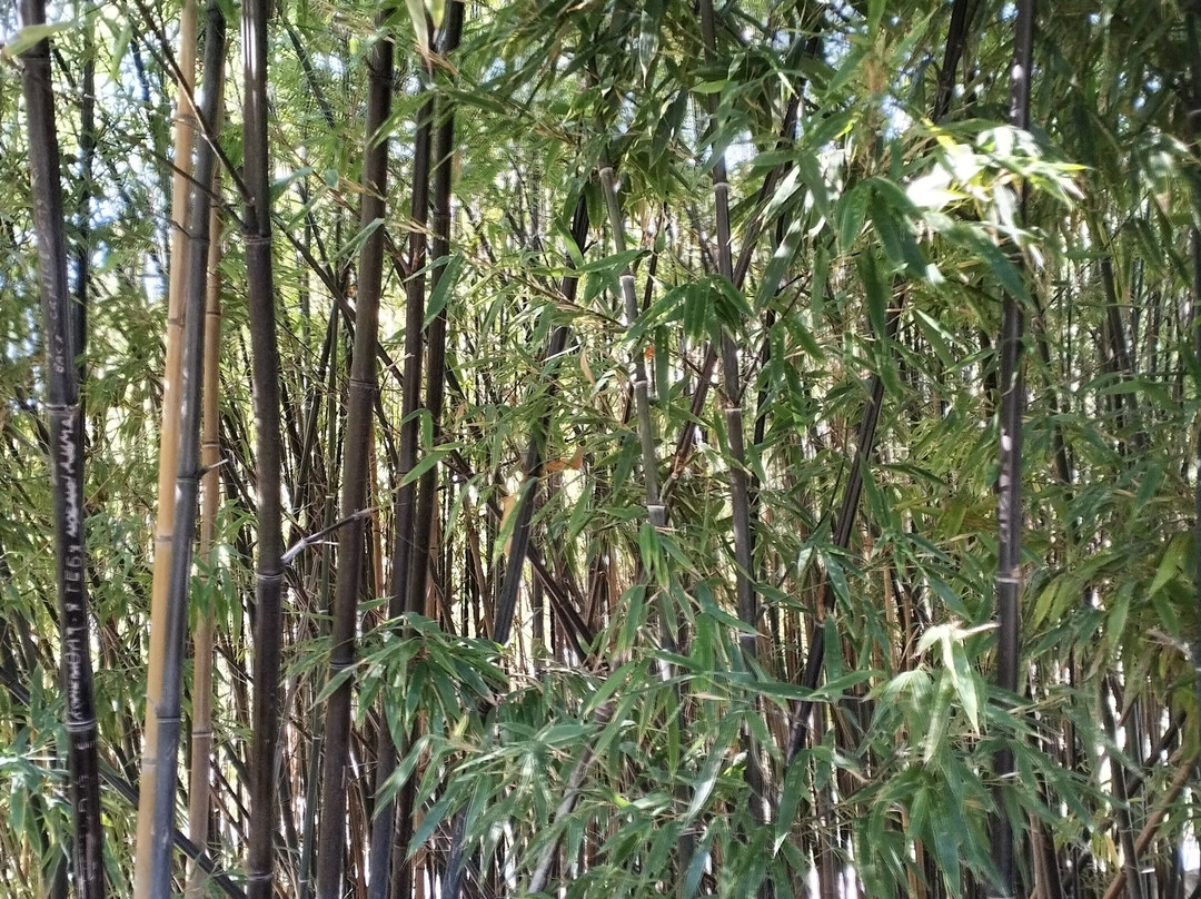 Montedor Park-Nikita必去景点