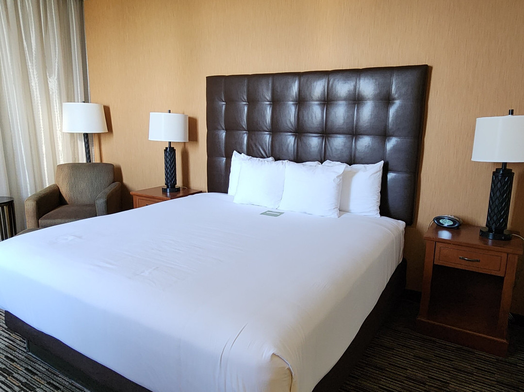 Drury Plaza Hotel St. Louis at the Arch主图