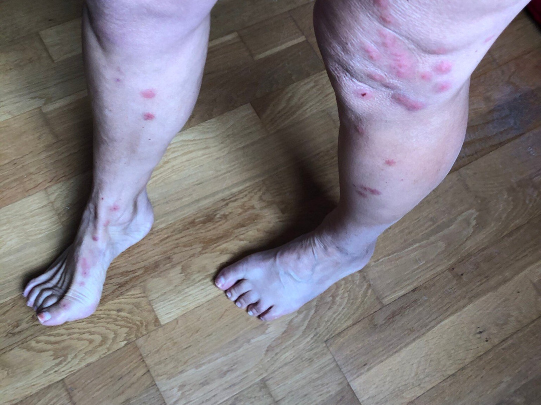 Les Canalous Bourgogne-Digoin必去景点