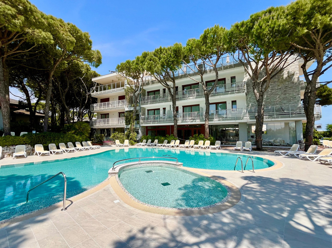 Park Hotel Pineta - Family Relax Resort主图