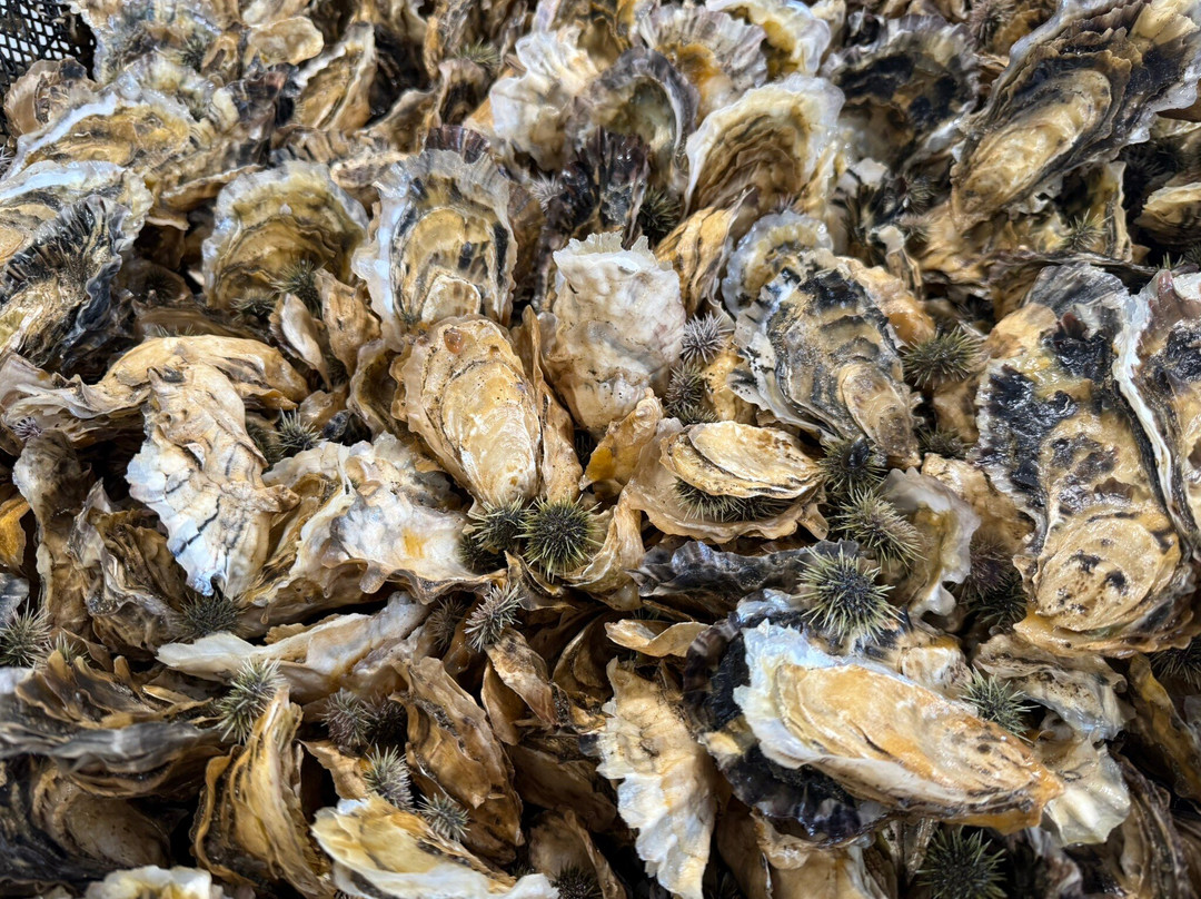 Hump Island Oyster & Kelp Farm with Tasting-凯奇坎必去景点