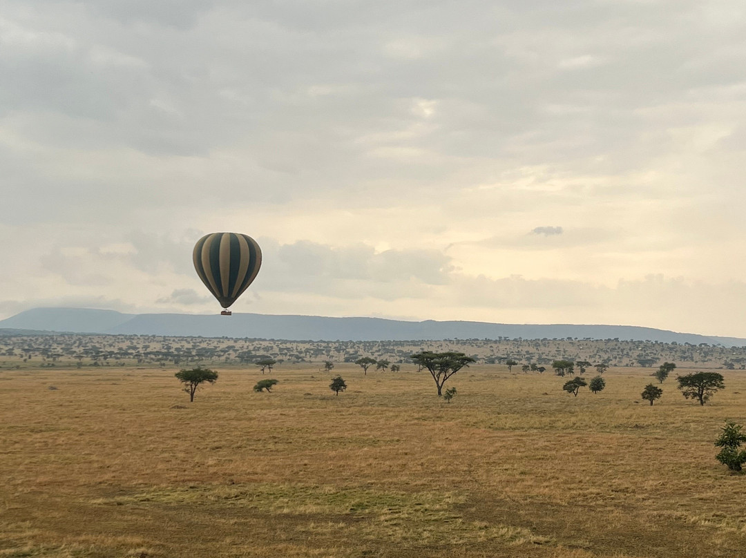 Serengeti Balloon Safaris-塞伦盖蒂国家公园必去景点