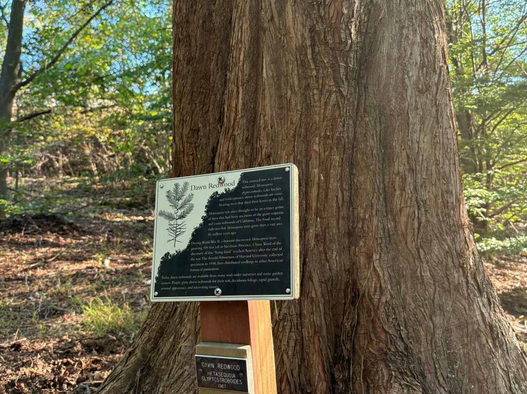 WVU Core Arboretum-摩根敦必去景点