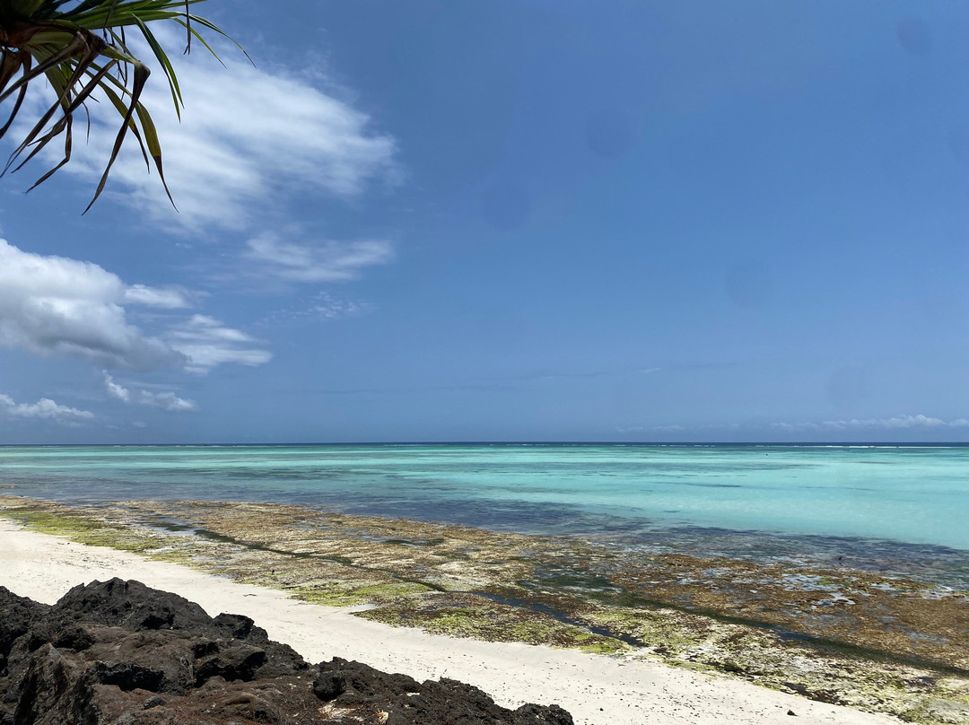 Tanzanite Beach Resort主图