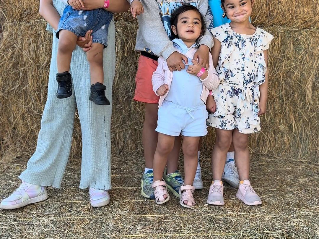 Animal Land Children's Farm-Diggers Rest必去景点