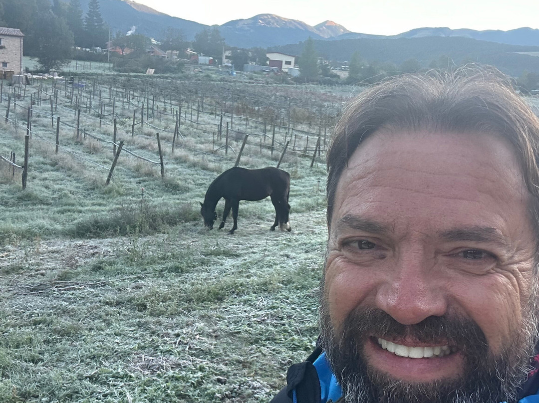 Il Casale San Martino主图