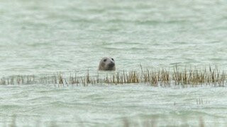 Maxim Guide Baie de Somme-Boismont必去景点