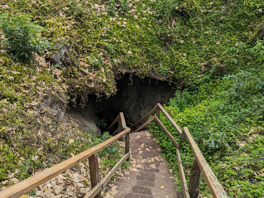 Lava Tunnel-圣克鲁斯必去景点