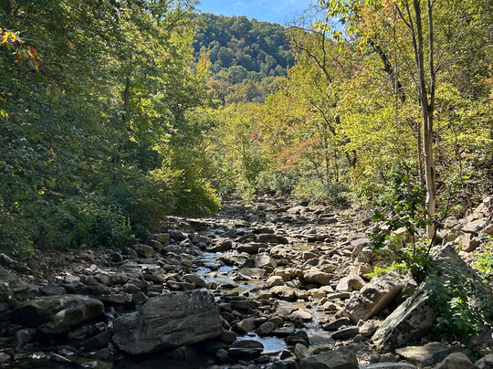 Wilderness Rider Buffalo Ranch & Adventure Park-Kingston必去景点