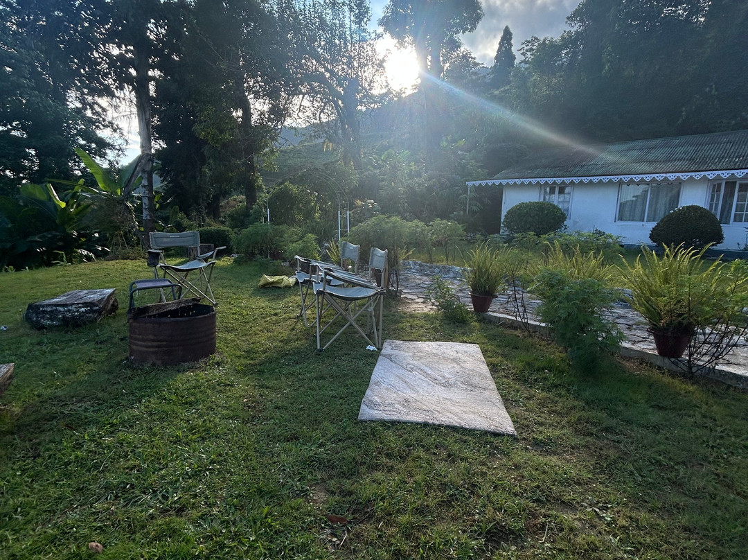 Yule Tea Retreat主图