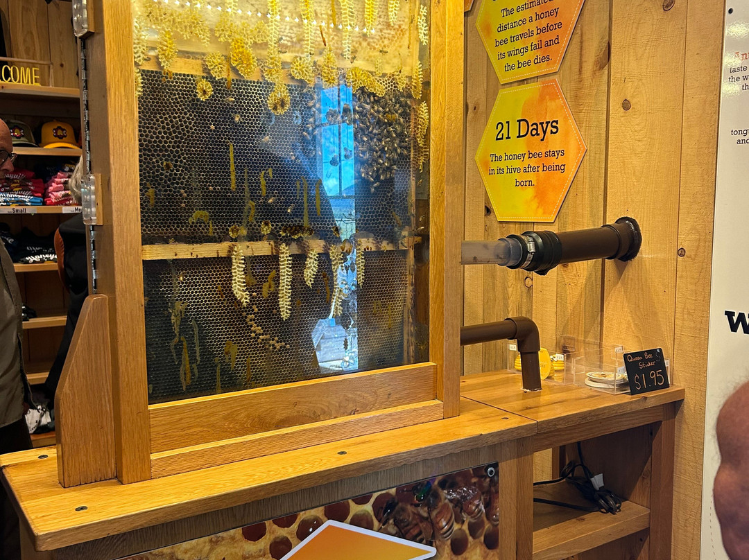 Honeyville-杜兰戈必去景点