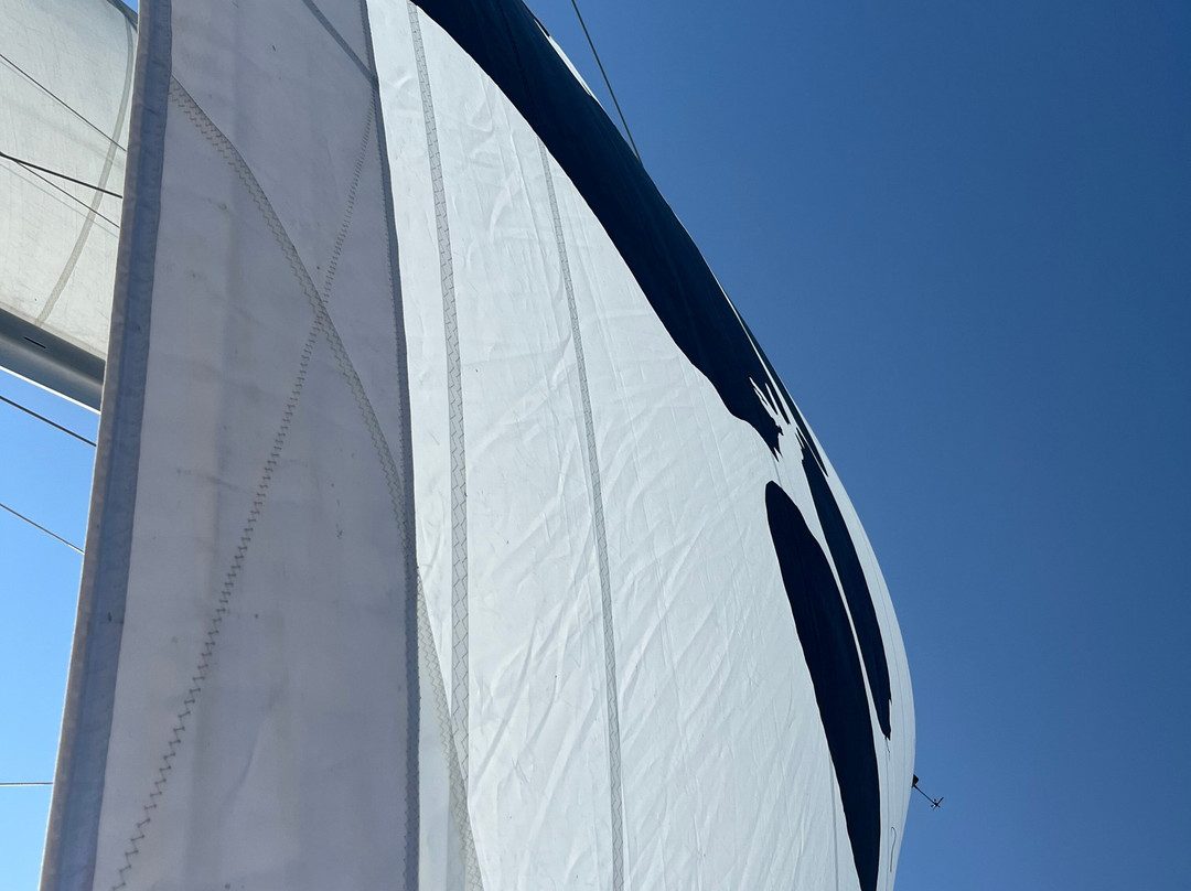 Nauti-Cat Cruises-特拉弗斯城必去景点