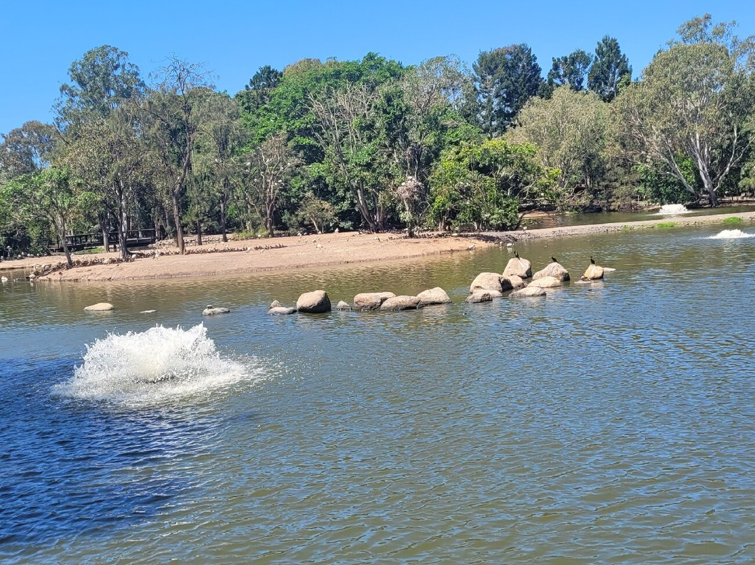 Australian Sugar Cane Railway-邦德堡必去景点