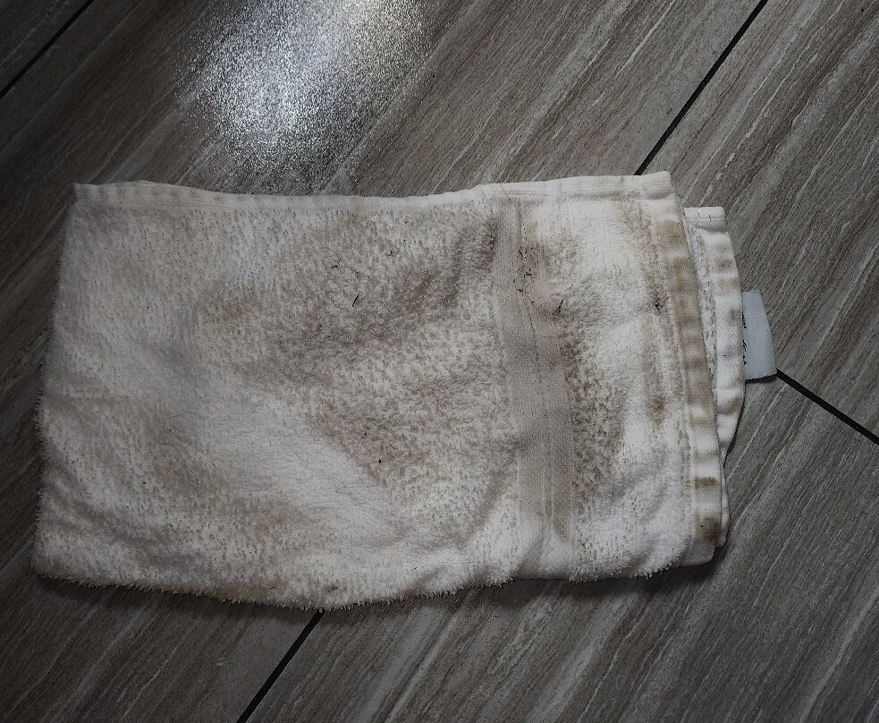 丽思维尔雪松旅馆主图