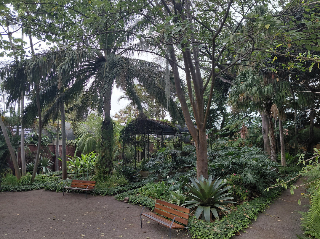 Botanischer Garten-德拉克鲁兹索尔港必去景点