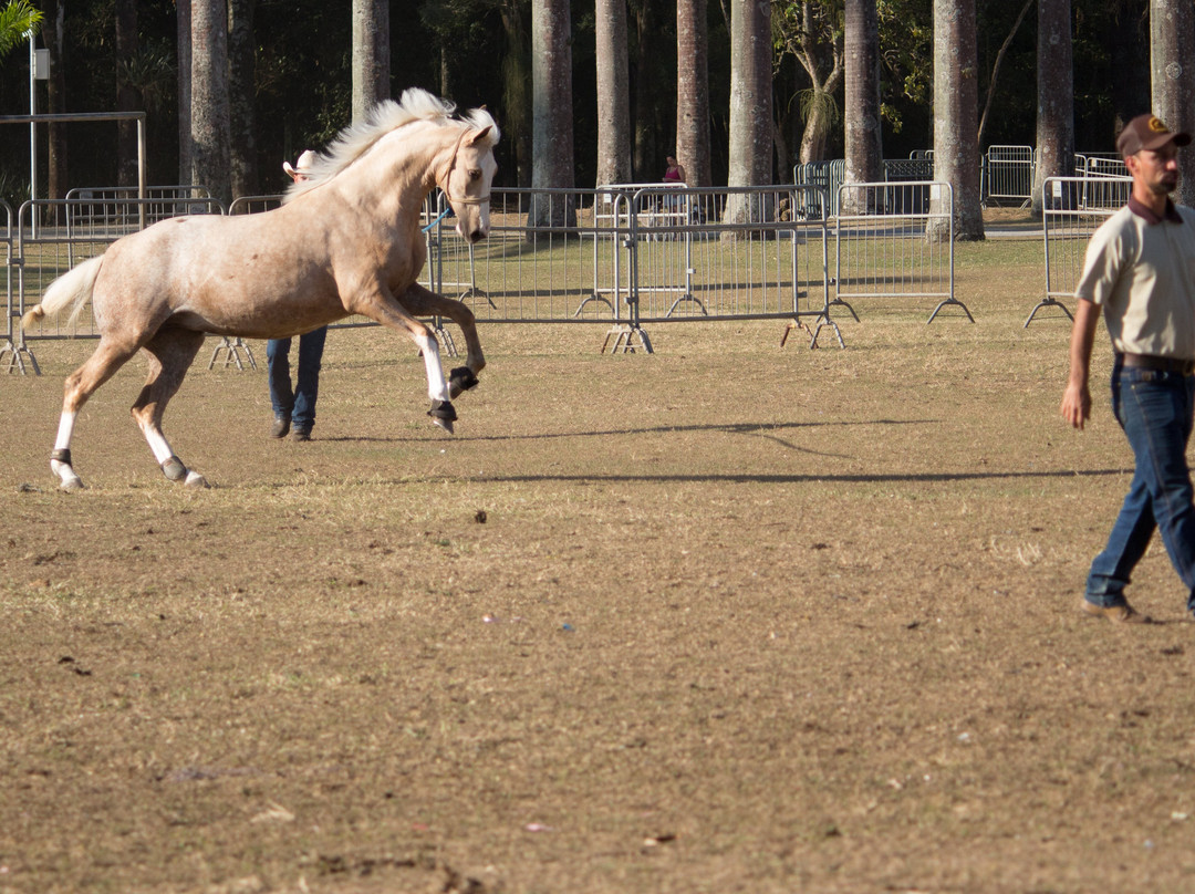 Parque Roberto Burle Marx-圣若泽杜斯坎普斯必去景点