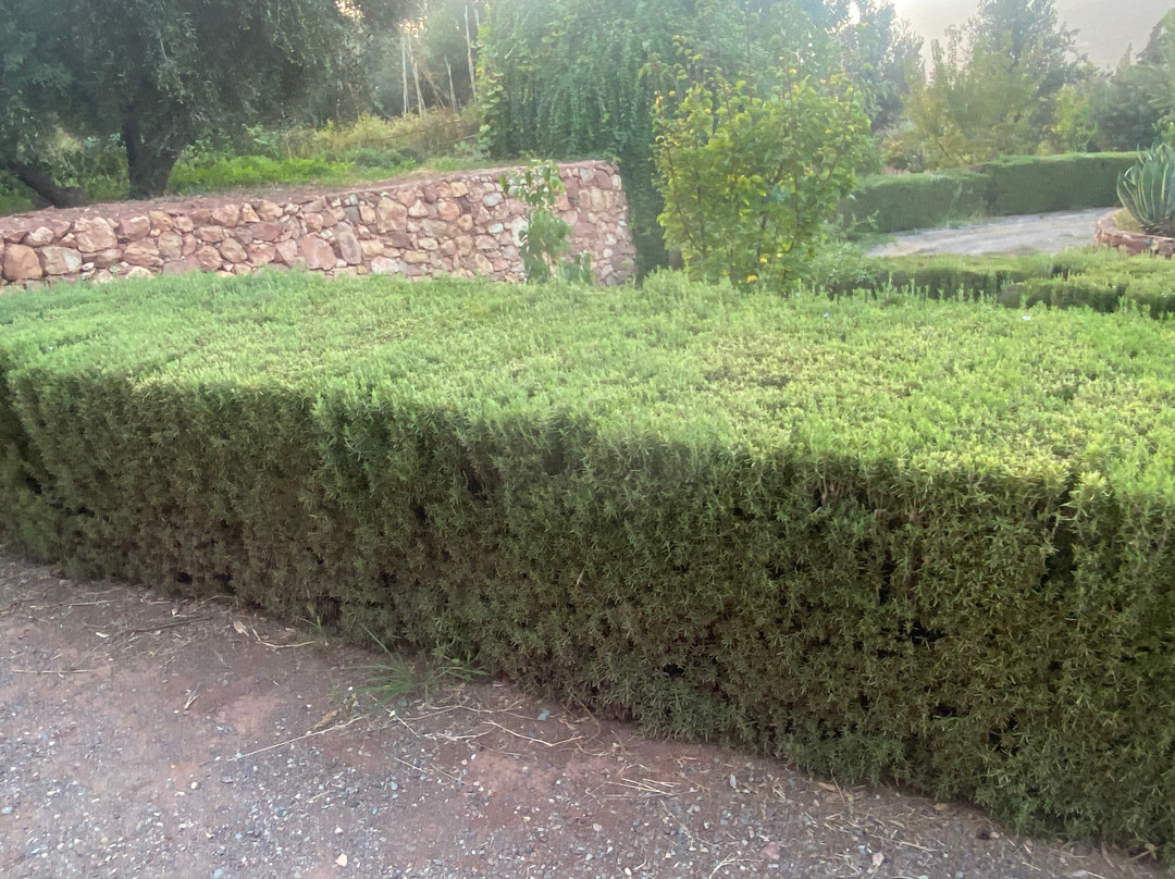 Domaine Malika主图