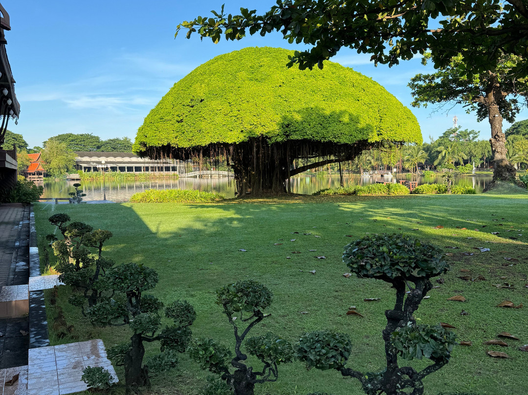 RXV Wellness Village主图