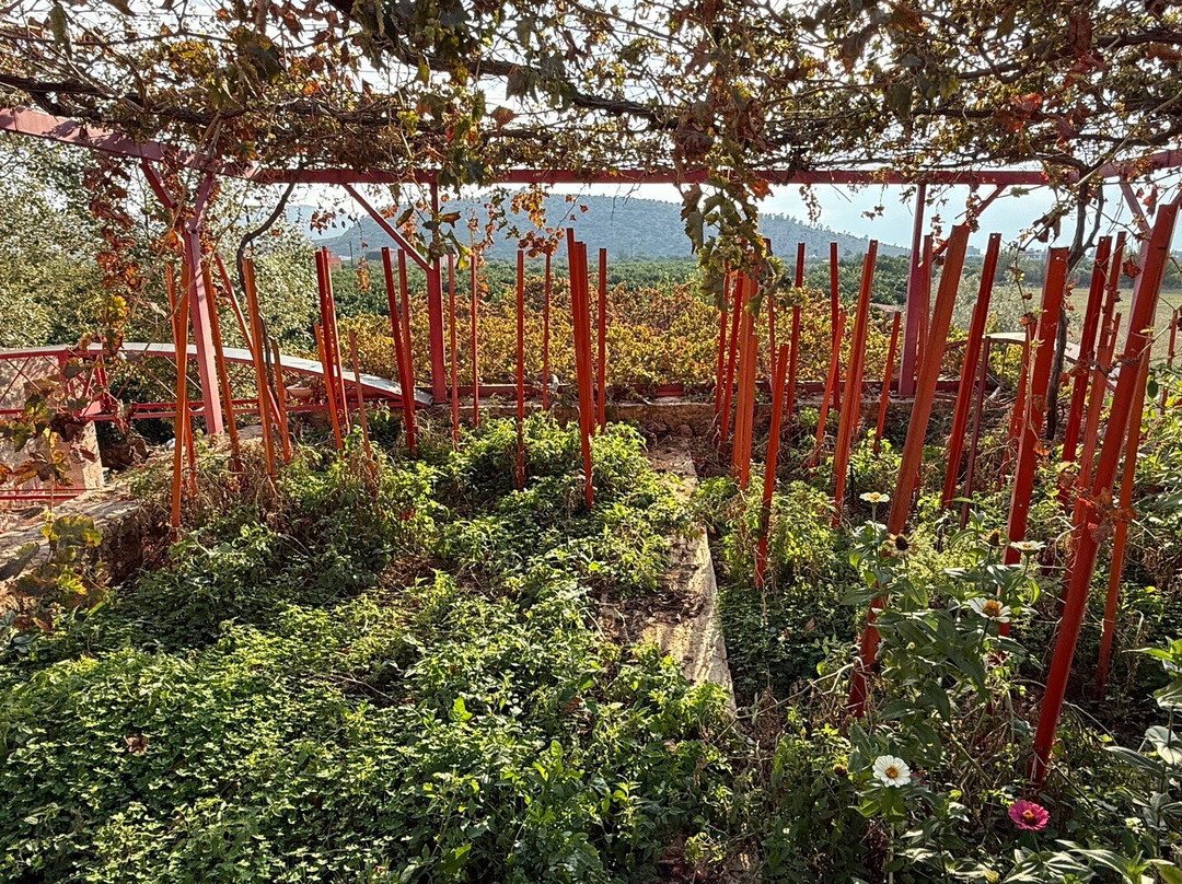 NafplioBioFarms-Nea Tiryntha必去景点