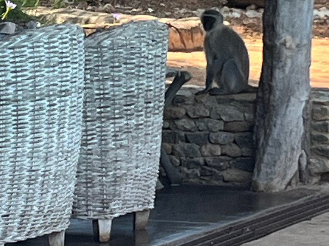 皇家克鲁格旅舍主图