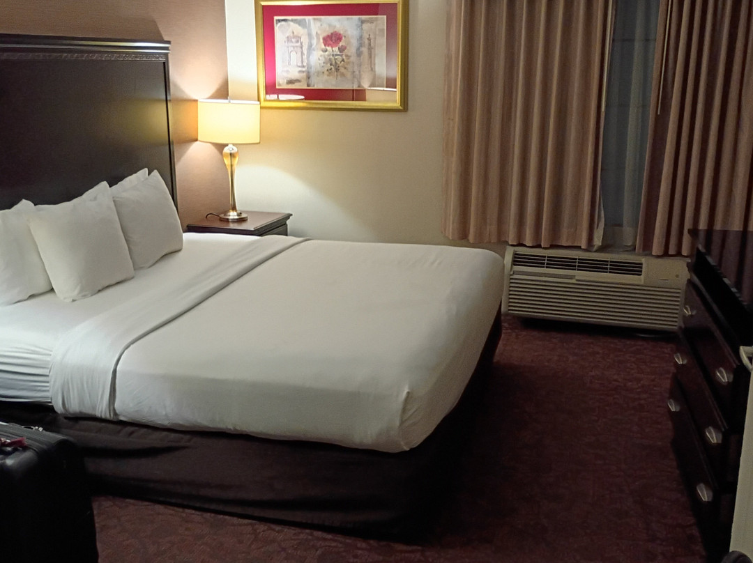 Comfort Suites Dulles Airport主图