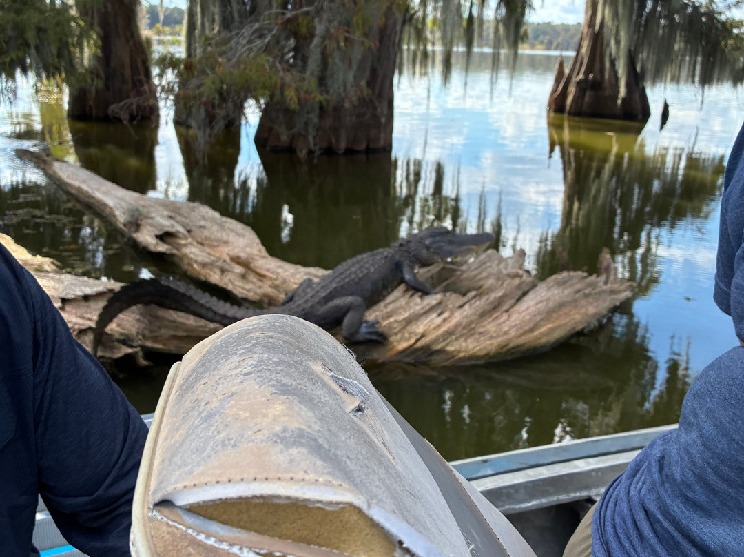 Louisiana Swamp Tours-布里奥克斯桥必去景点