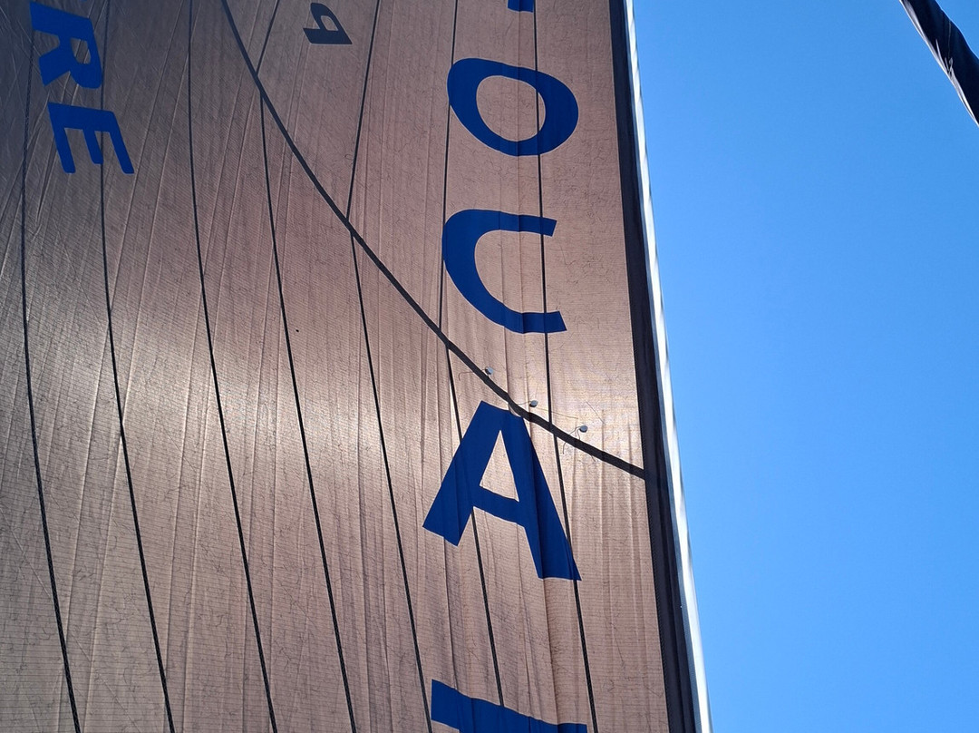 Perfect Nature Cruises-Monkey Mia必去景点