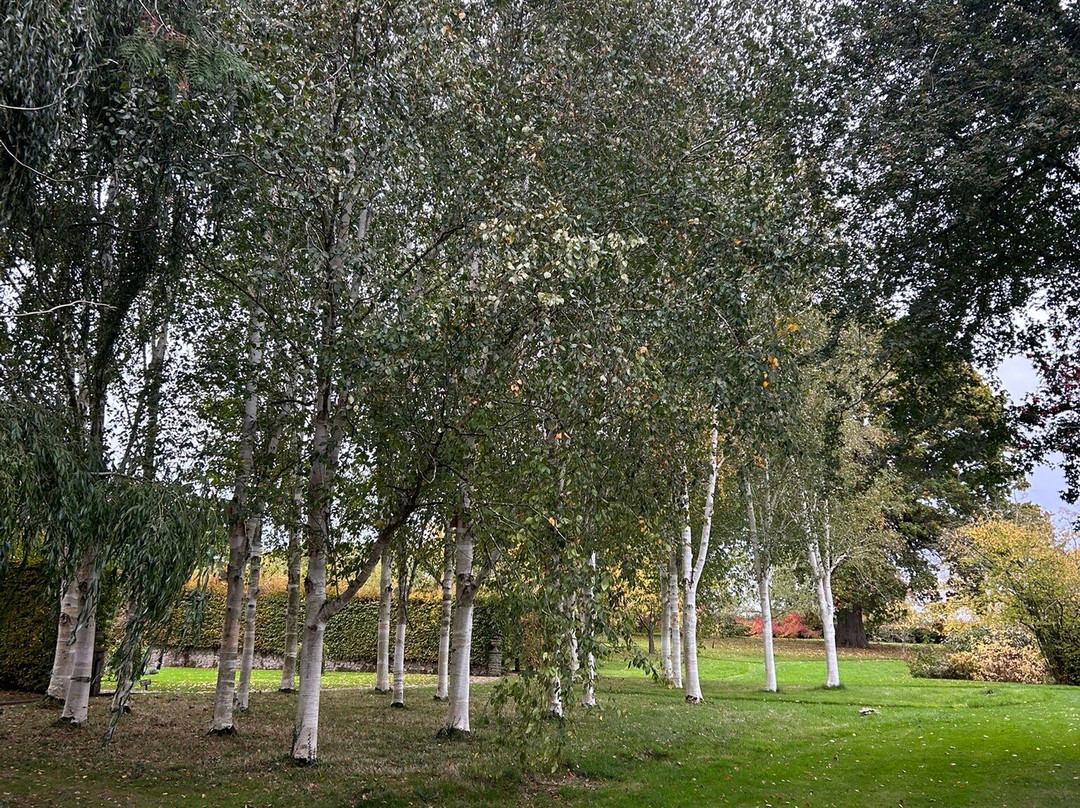 Brobury House Gardens and Cafe-赫里福德必去景点
