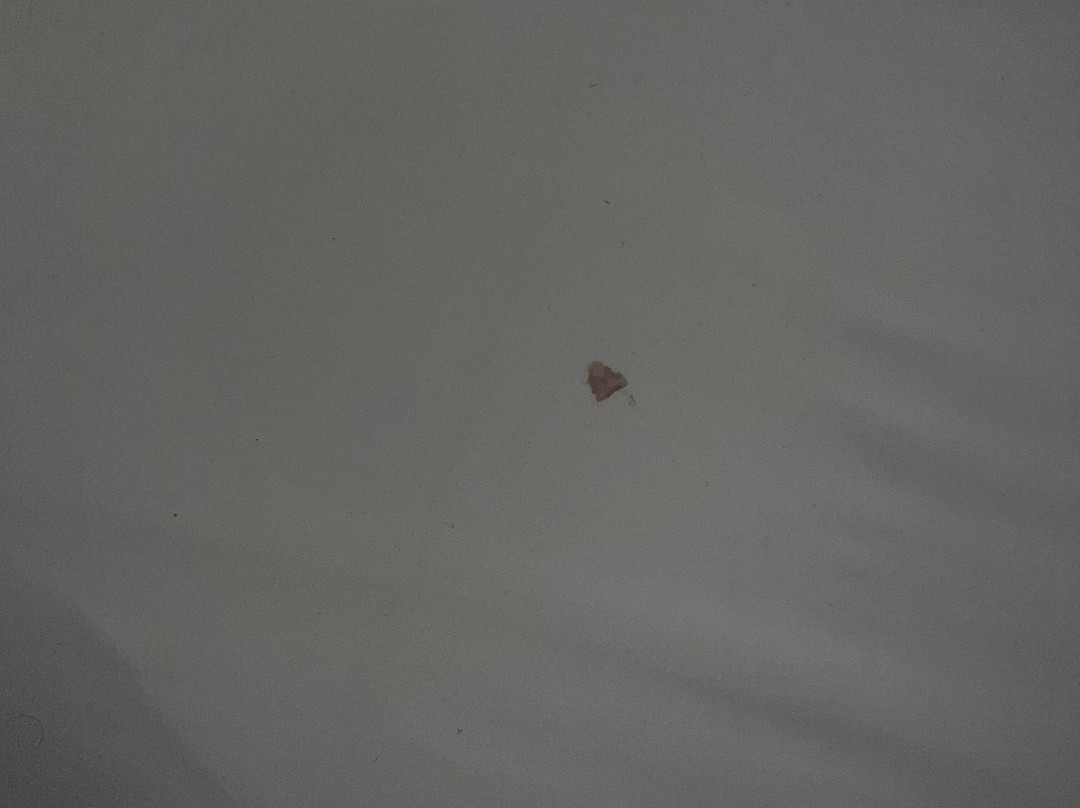 Country Inn & Suites by Radisson, Sparta, WI主图