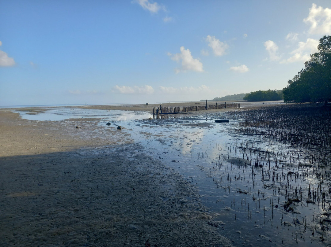 Kitu Kiblu: Responsible Marine Encounters-马菲亚岛必去景点