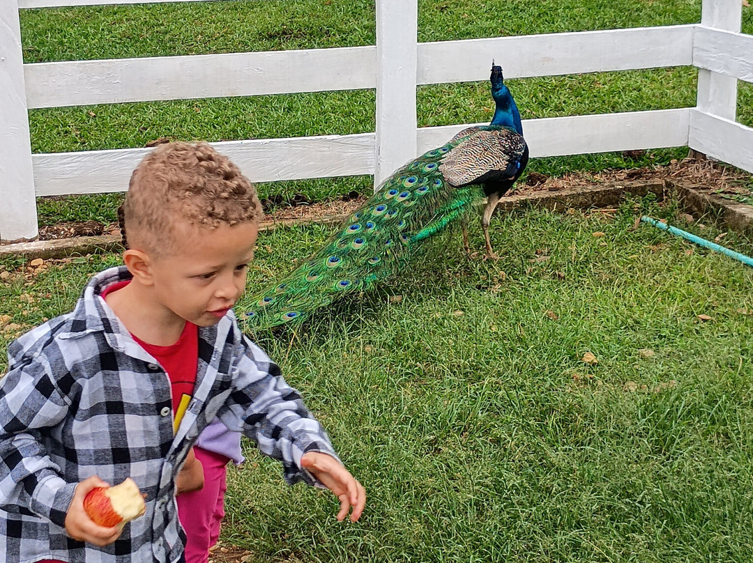 Hotel Fazenda M1主图