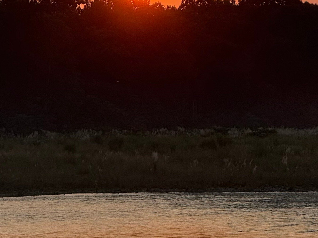 Soaltee Westend Resort Chitwan主图