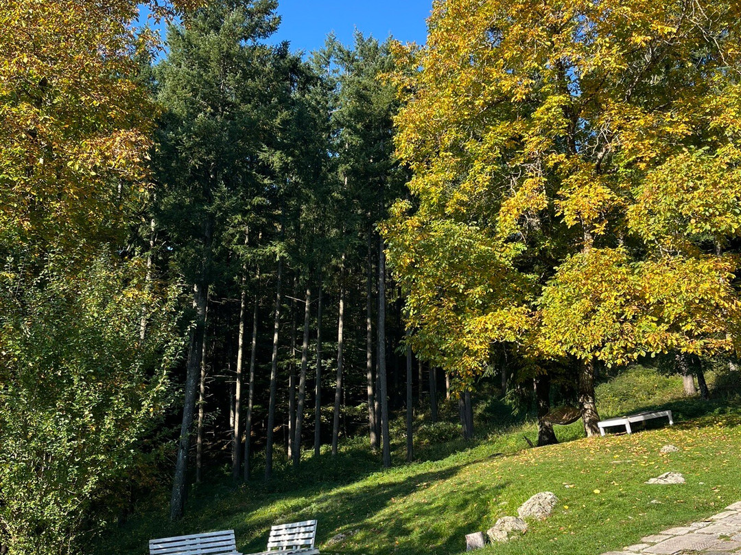 Agriturismo Eremo Montemezzano主图