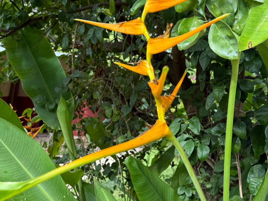 Hacienda Hotel Santo Domingo主图