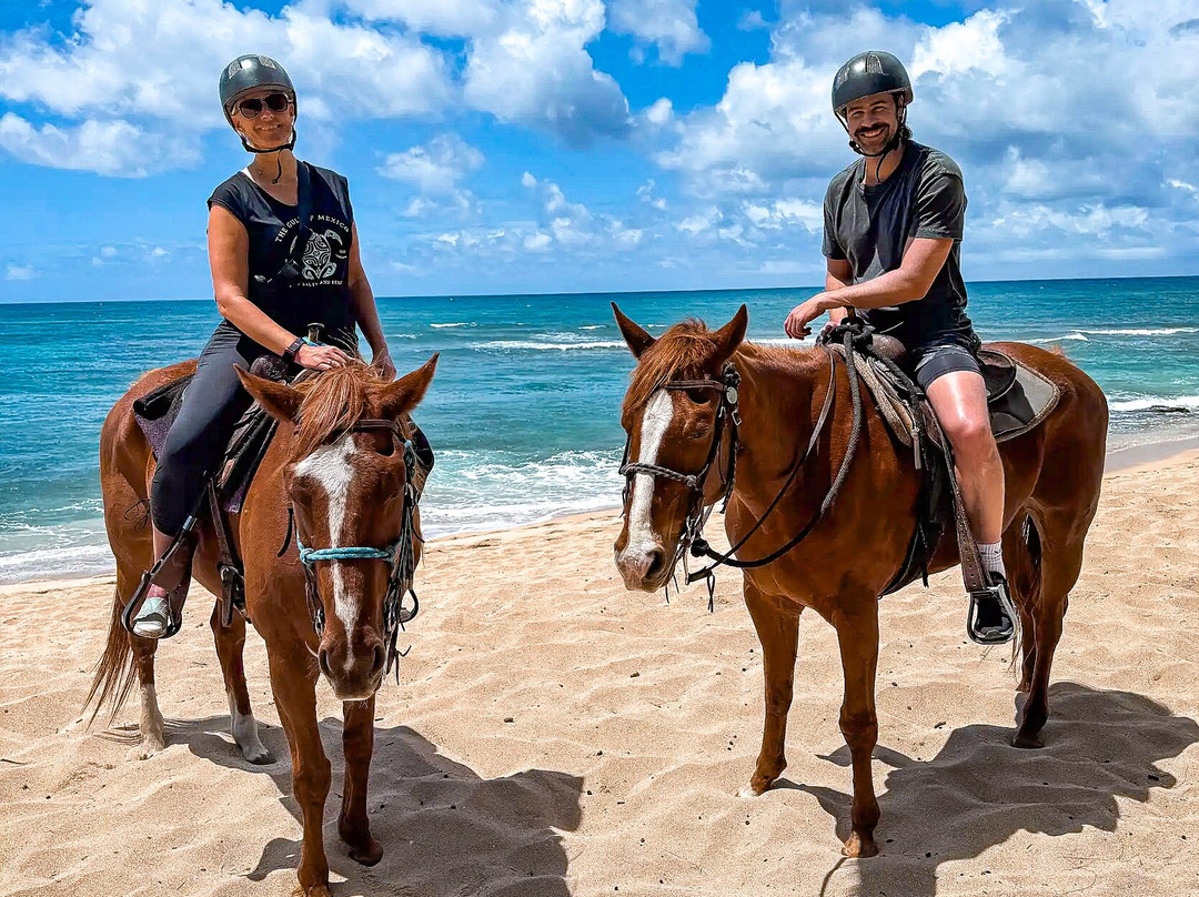 Hawaii Polo Trail Rides-瓦亚禄必去景点