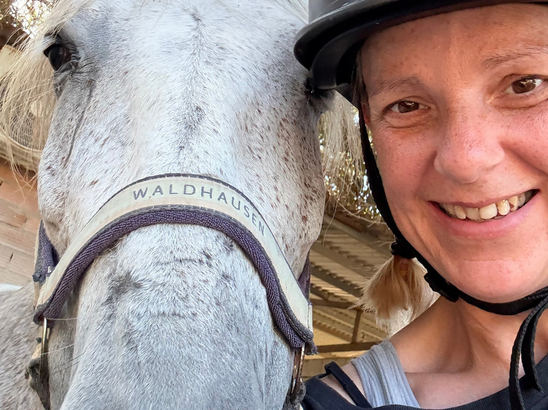 George's Ranch-Peyia必去景点