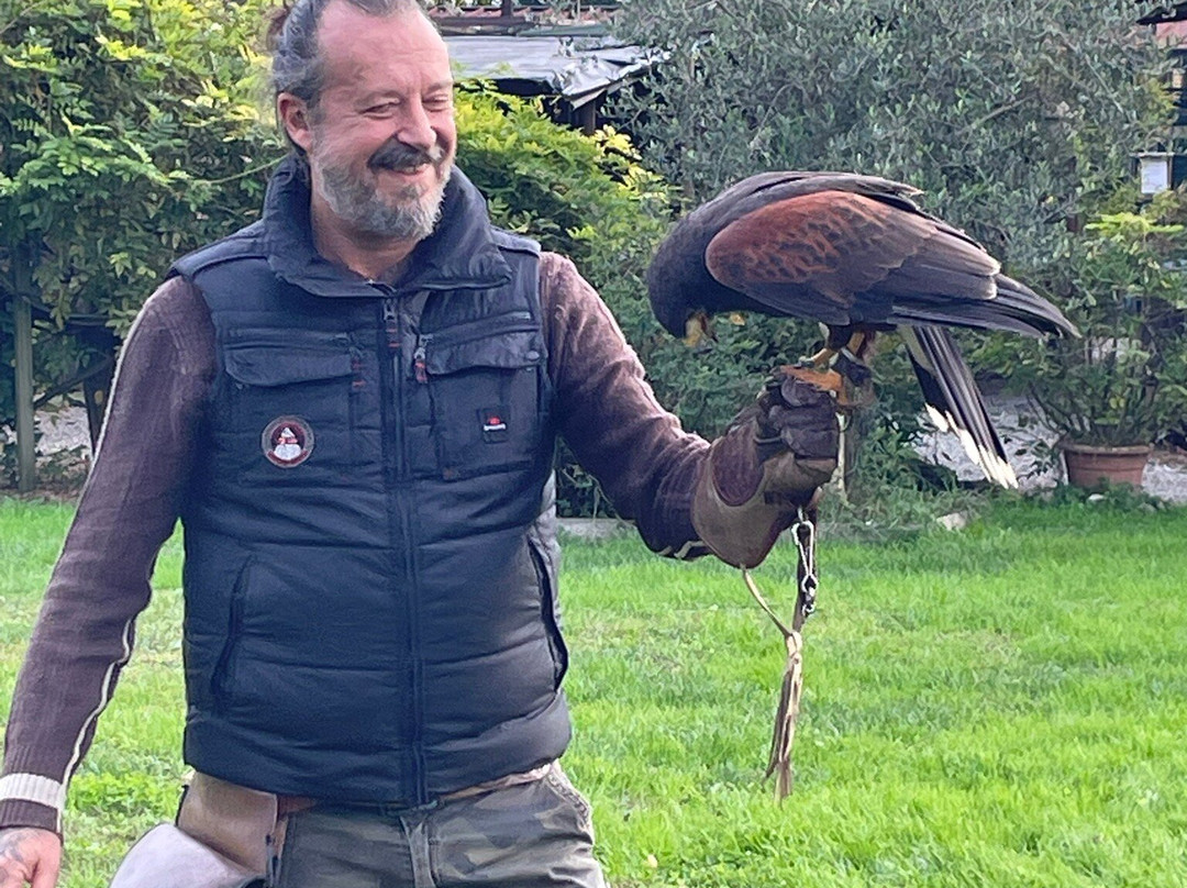 Il Regno Dei Rapaci-Gessate必去景点