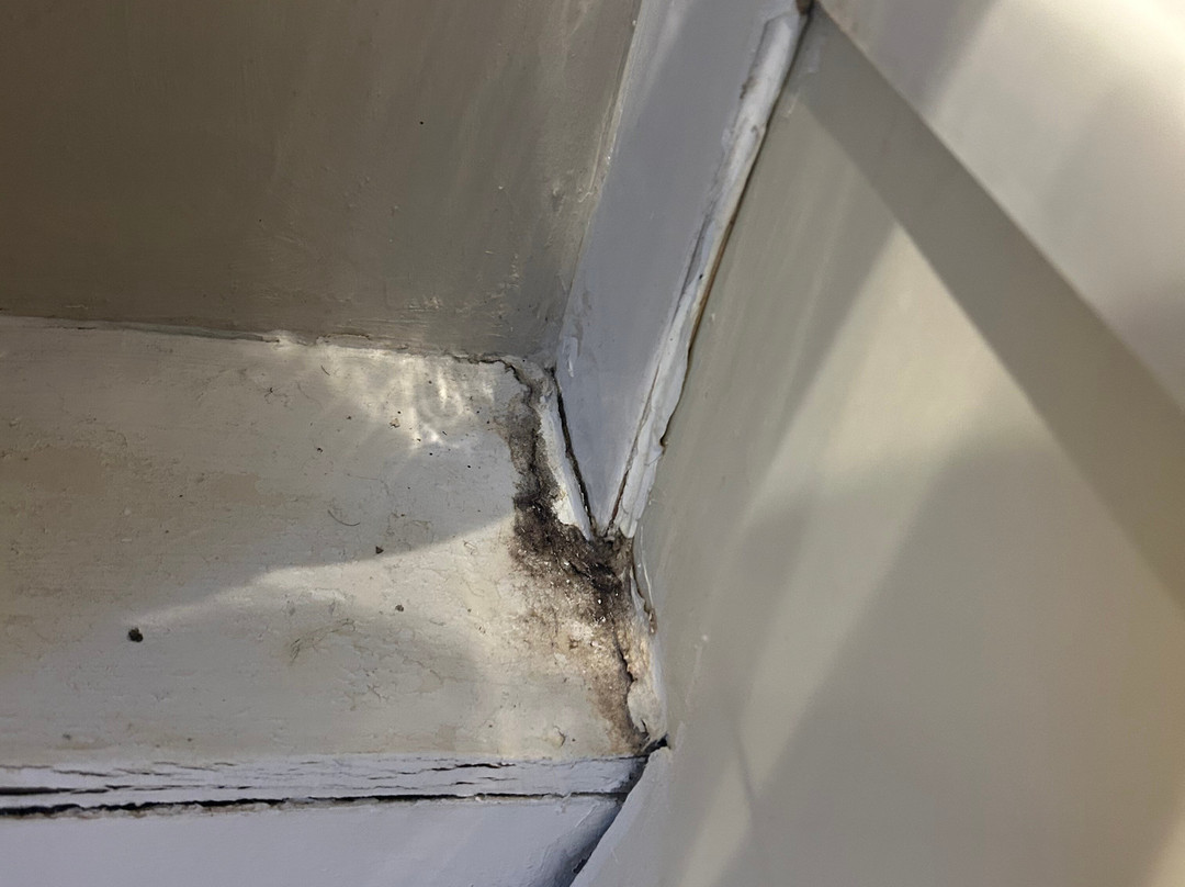 Aldercarr Hall主图