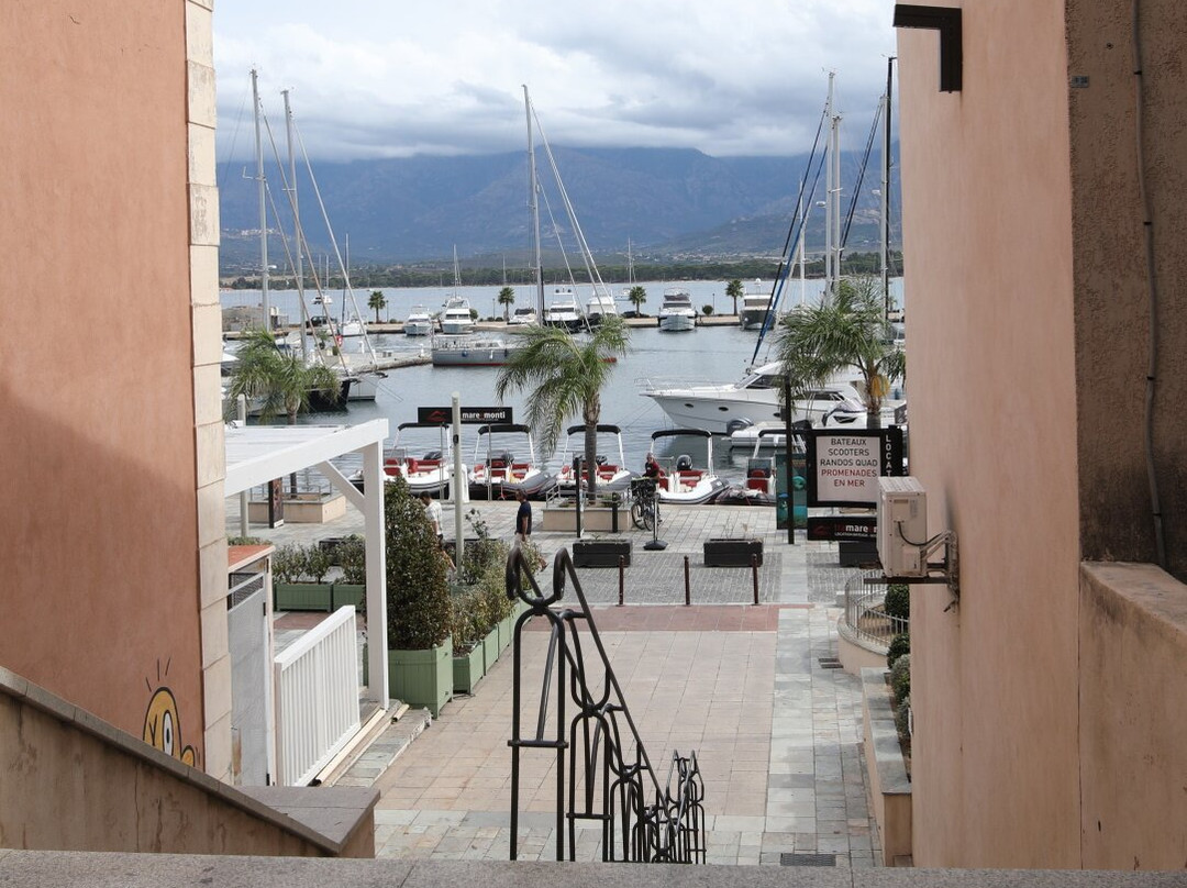 Port de Plaisance-卡尔维必去景点