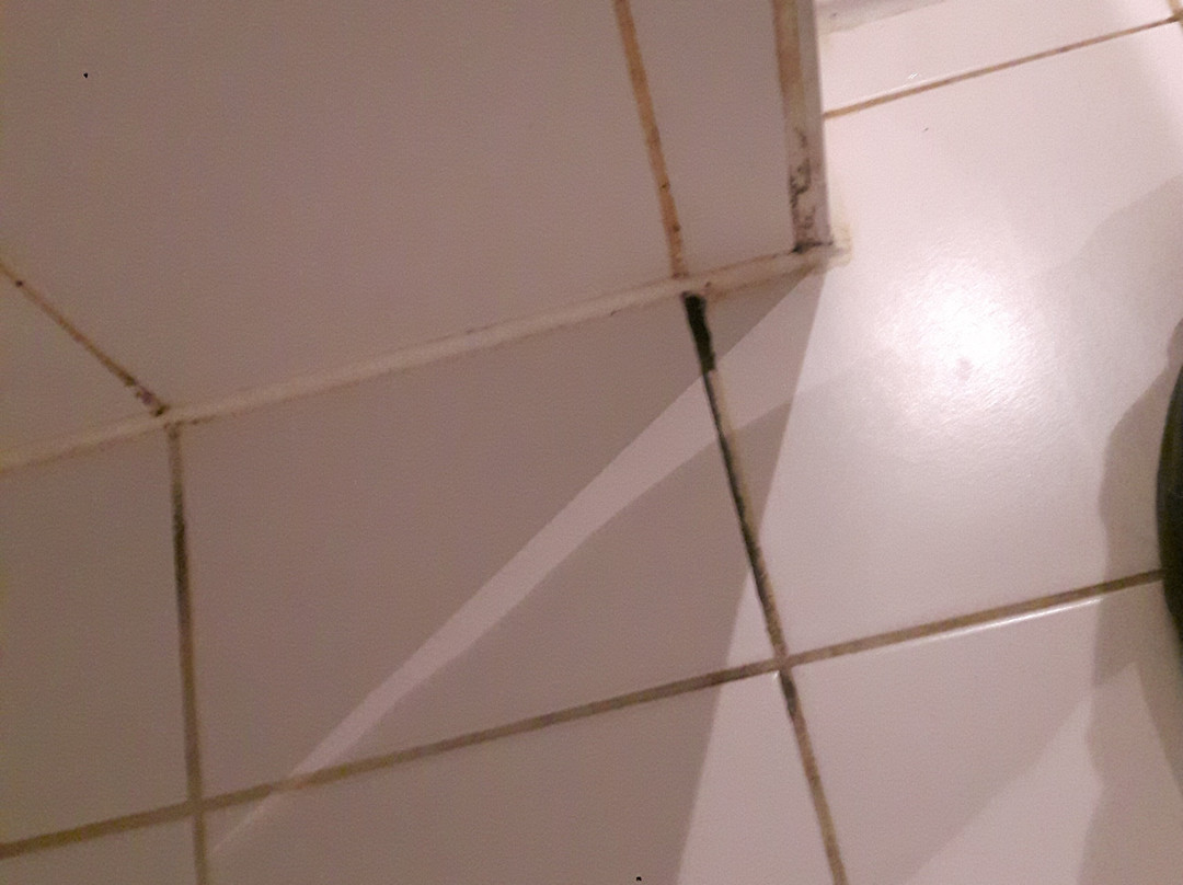 考夫豪斯阿尔特斯酒店主图