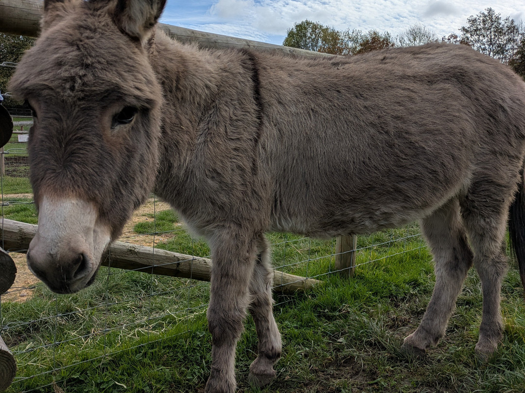 Woodgate Valley Country Park-伯明翰必去景点