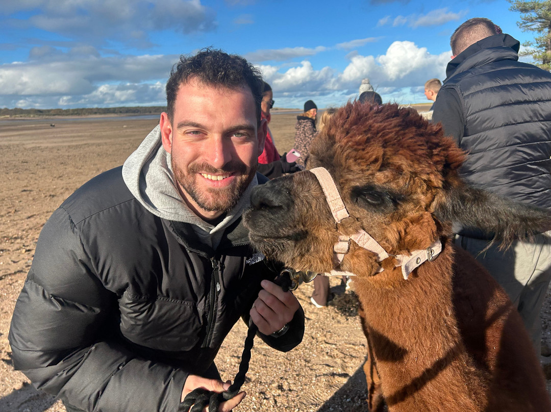 John Muir Alpacas-Dunbar必去景点