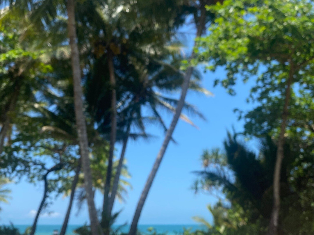 Seadreams Mission Beach主图