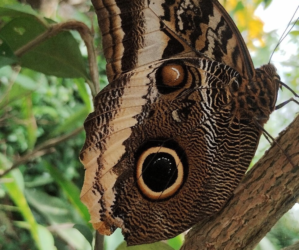 Parque Ecobiológico Maripoxa-奥克萨潘帕必去景点