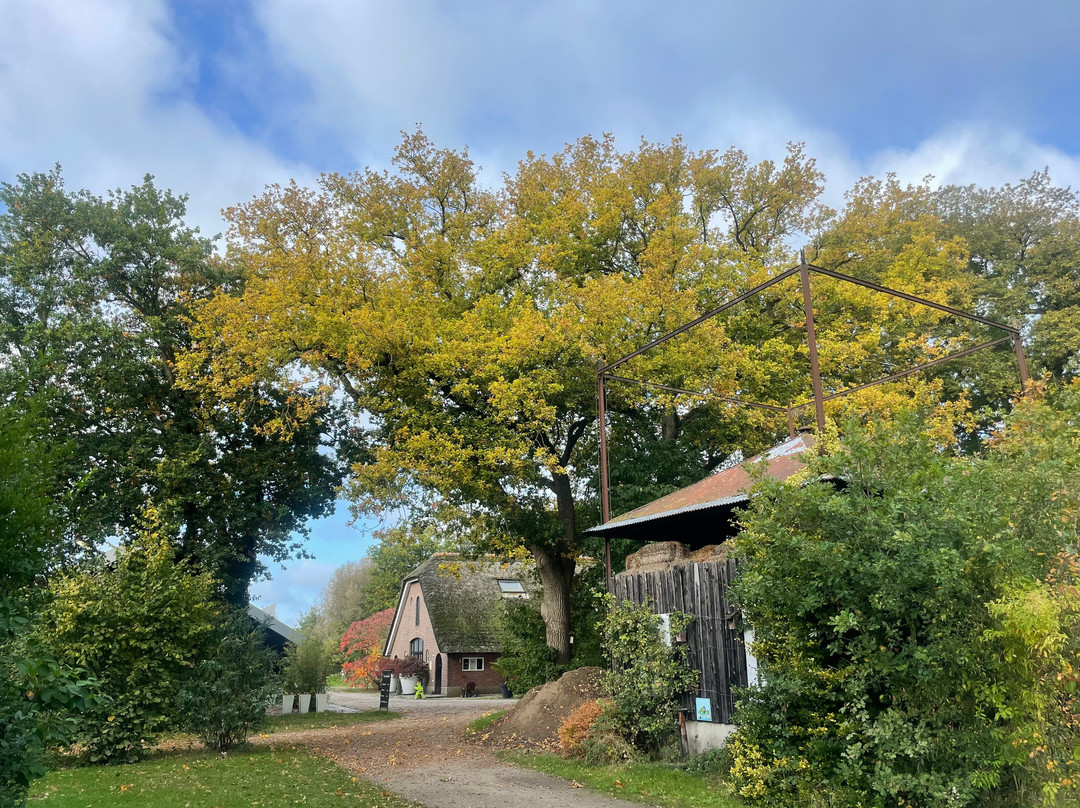 Camping De Oldehove