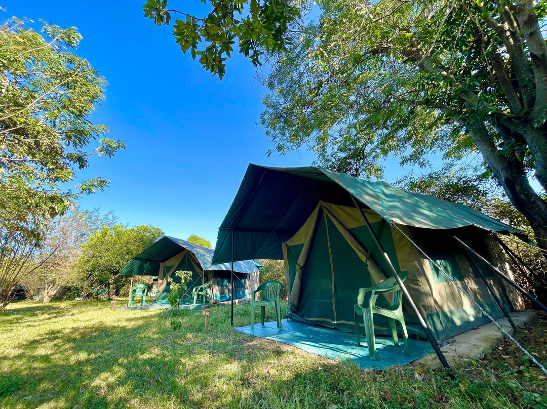 Best Camping Tours-内罗毕必去景点