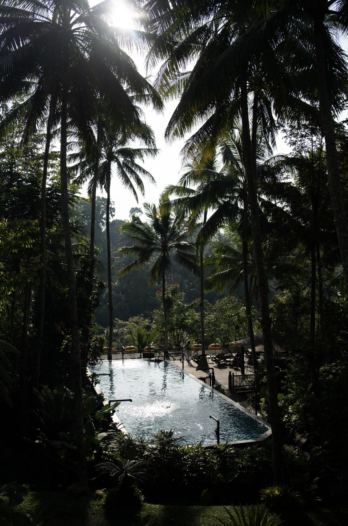 Capella Ubud, Bali-浴室