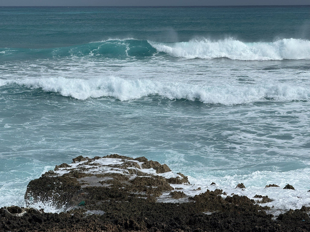 Pete's Pub & Gallery-Little Harbour必去景点