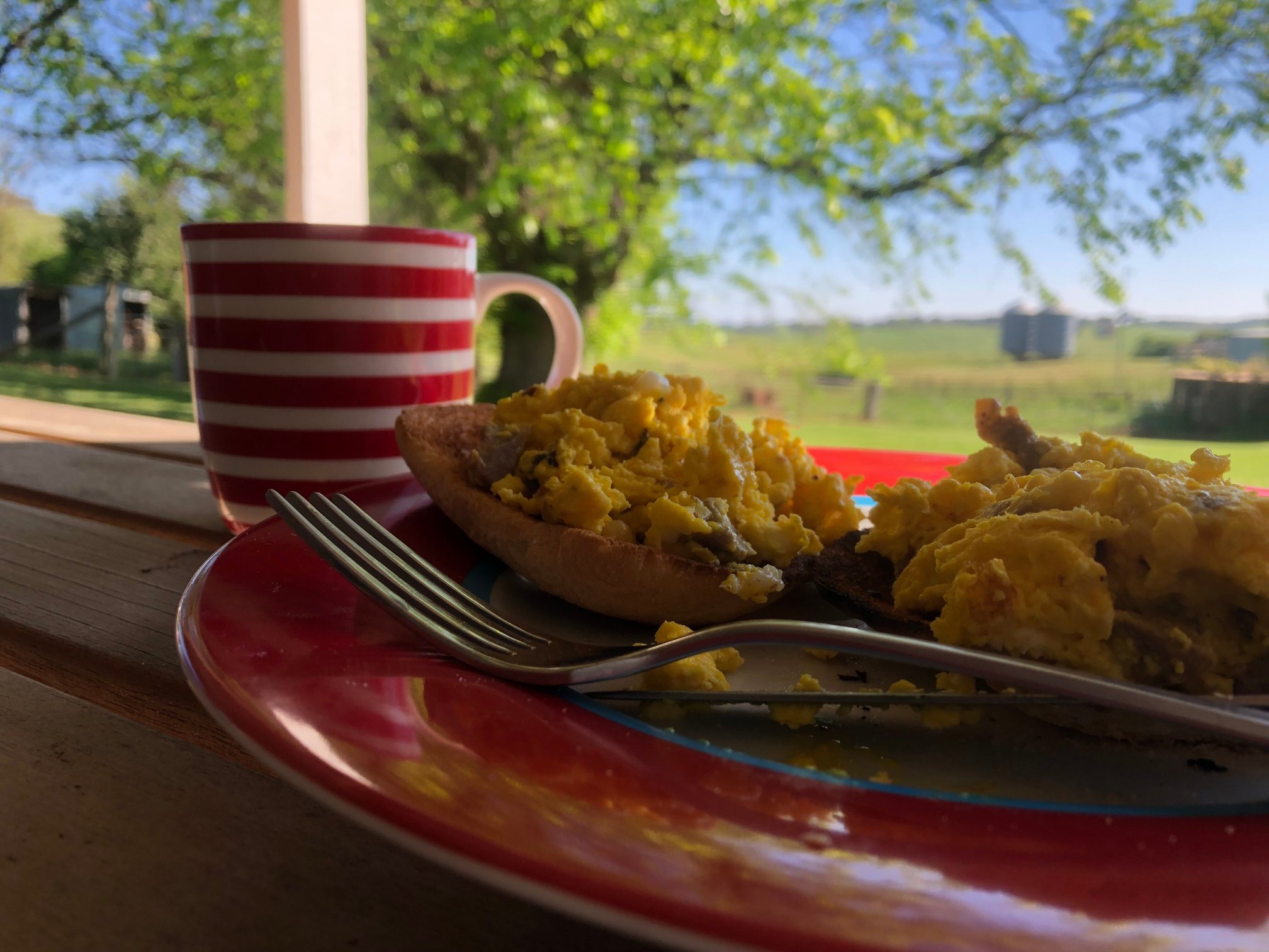 Godolphin Country Accommodation-酒店景观